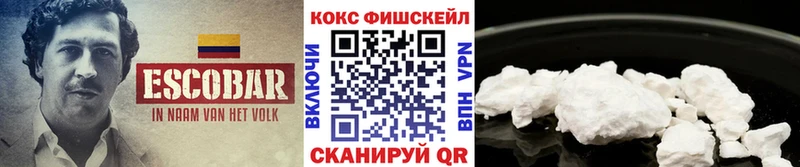 закладки  Сковородино  Cocaine FishScale 