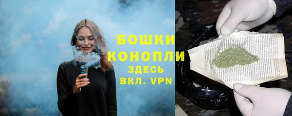шишки Снежинск