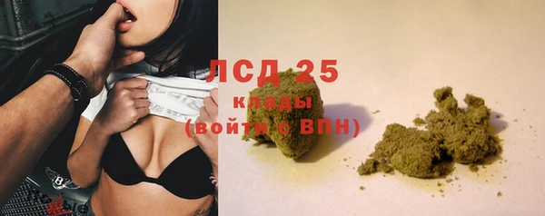 шишки Баксан