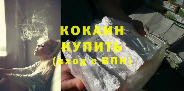 шишки Снежинск