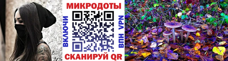 Псилоцибиновые грибы прущие грибы блэк спрут сайт Сковородино